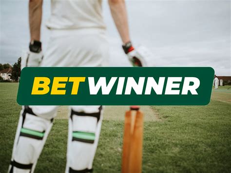 bet4our|Betwinner Official Site .